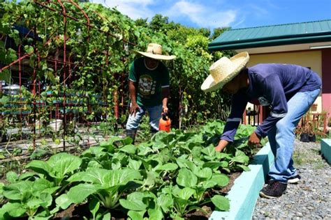 City Agri heightens drive on organic farming .